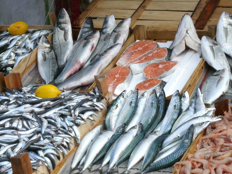 Омская область. Об итогах контроля за качеством и безопасностью рыбы и морепродуктов в Омской области за 1 полугодие 2021 года